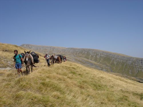 trekking con i muli-8.jpg